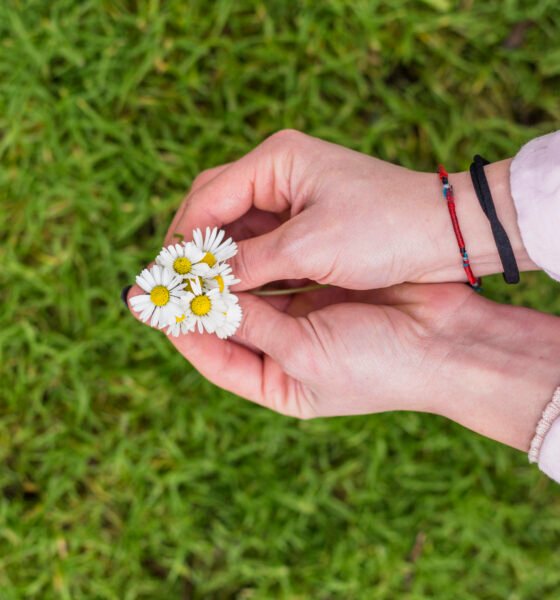 The Daisy Ring: A Timeless Symbol of Love, Innocence, and Enduring Style