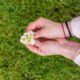 The Daisy Ring: A Timeless Symbol of Love, Innocence, and Enduring Style