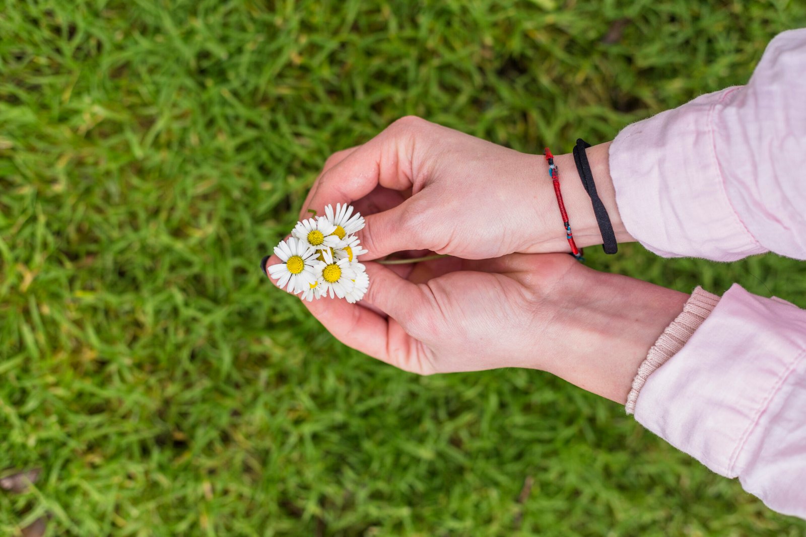 The Daisy Ring: A Timeless Symbol of Love, Innocence, and Enduring Style