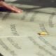 Unveiling "Peʹrez": A Journey Through History, Genealogy, and Meaning
