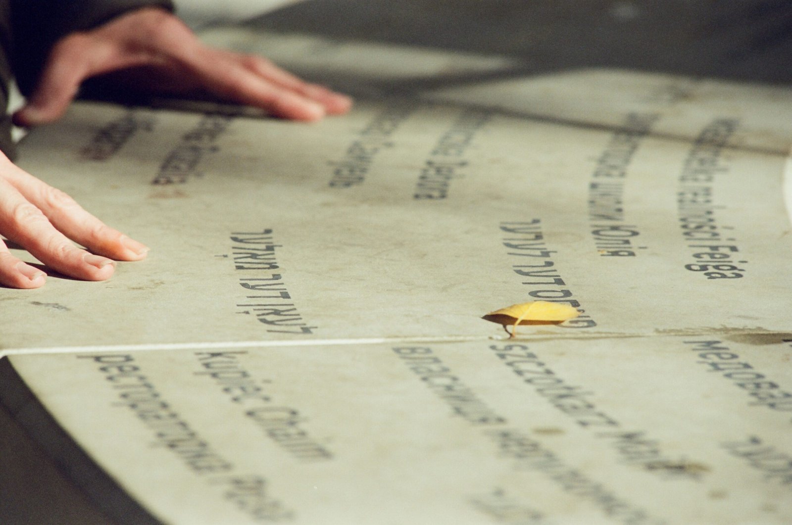 Unveiling "Peʹrez": A Journey Through History, Genealogy, and Meaning