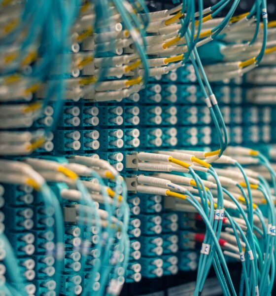 Best Ethernet Cable for Gaming
