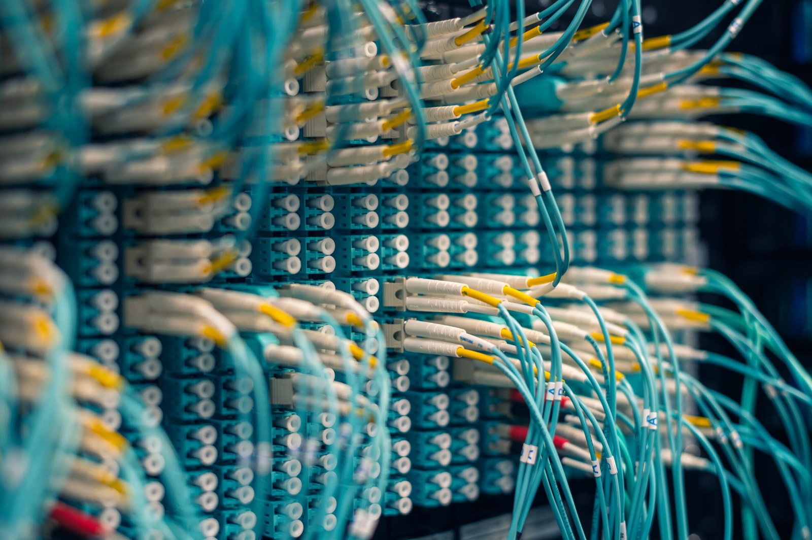 Best Ethernet Cable for Gaming